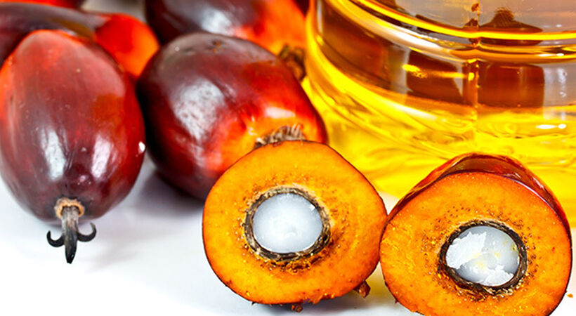 peanut oil